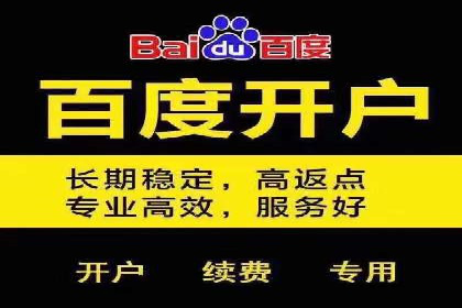 某电商平台的sem竞价推广托管经验